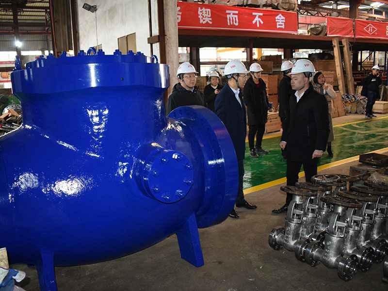 苗市长走访开云手机站在线登录官网入口-开云(中国)集团